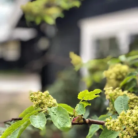 אכסניה 2 Solasen *