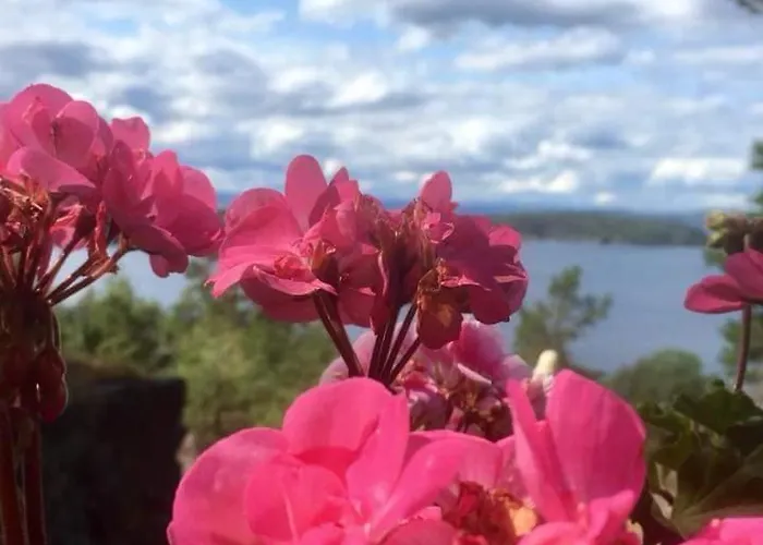 2 Solasen Хостел *